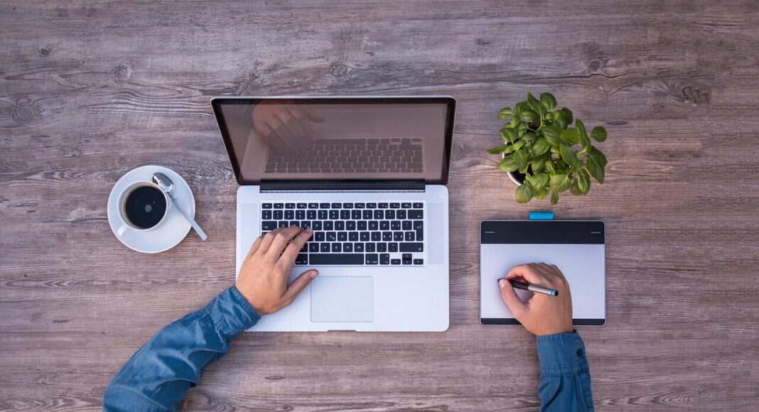 A person works on a laptop with a plant beside it.