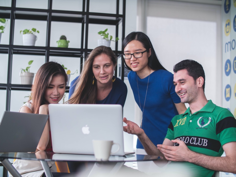 A group of four people are gathered around a laptop in an office, looking at the screen and discussing their job search strategies. Shelves with small potted plants are in the background, adding a touch of greenery to the serious scene.