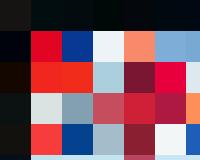 A flag in motion, symbolizing unity and diversity.