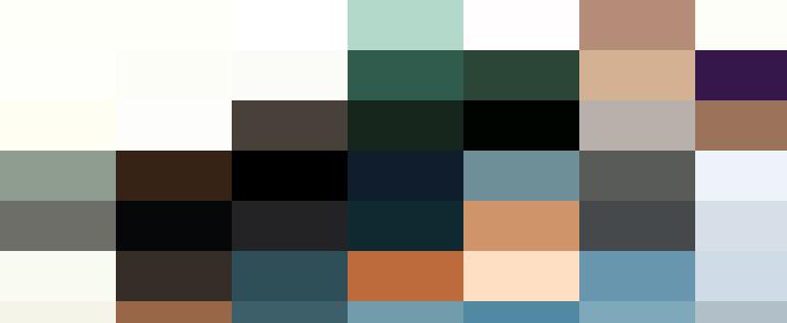 Group of personnel practicing CPR on a mannequin during a first aid training session.