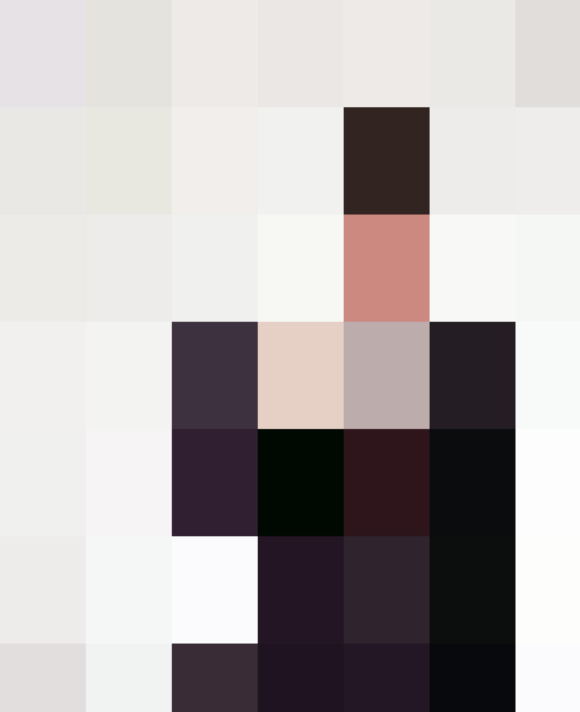 A British man in a suit.