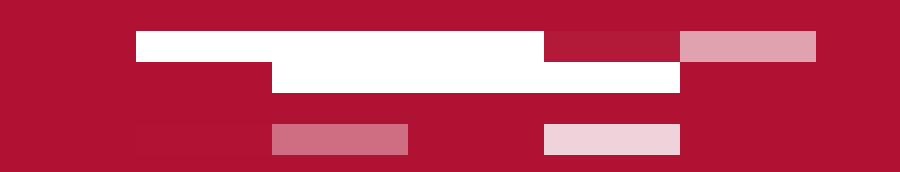 Ridi awards HR initiative in recruitment industry for disability inclusion.