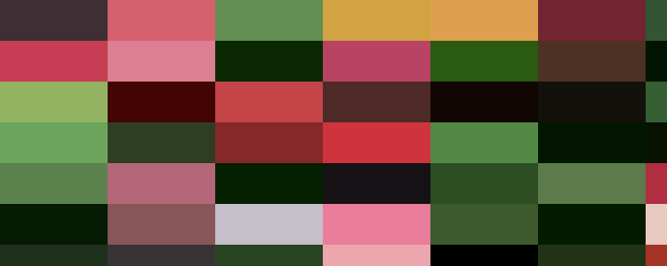 A variety of colorful lupine flowers in shades of red, pink, purple, yellow, and white with labels in a garden setting resemble the meticulous organization found in People Management.