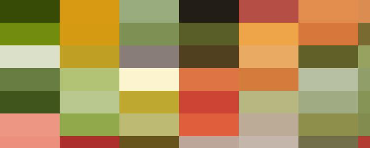 Various fruits and vegetables, including broccoli, carrots, tomatoes, lemons, and greens, are arranged with three glasses of red, orange, and green detox juice.