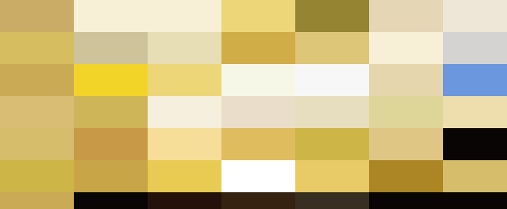 Panoramic view of an elegant HR banquet in a grand hall with columns, arches, and stained glass windows, filled with guests seated at round tables.