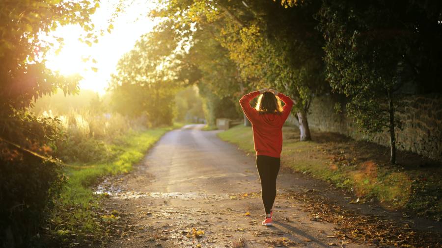 Person in a red hoodie walking on a tree-lined path at sunrise, with hands resting on the back of their head, reflecting on HR strategies for enhancing personnel engagement.