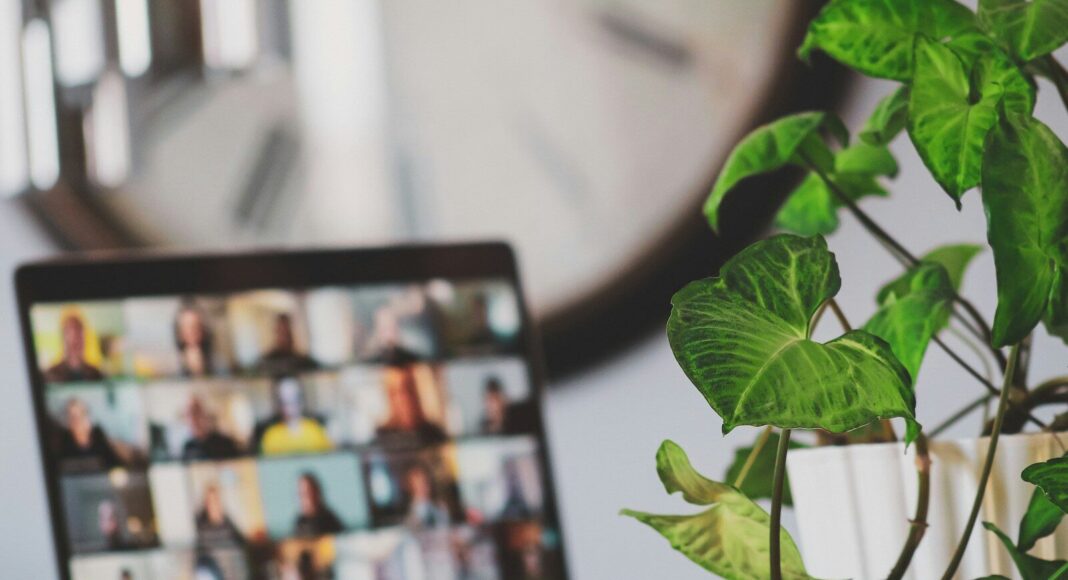 A laptop displaying an online meeting, with a plant nearby.