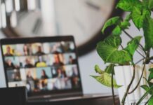 Hybrid working overtakes pay as firms compete for tech talent A laptop displaying an online meeting, with a plant nearby.