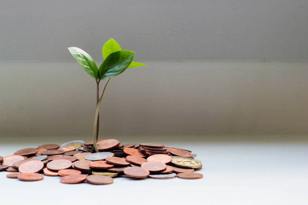 A small plant with green leaves sprouts from a pile of coins on a white surface, symbolizing the growth potential within your national insurance investments.