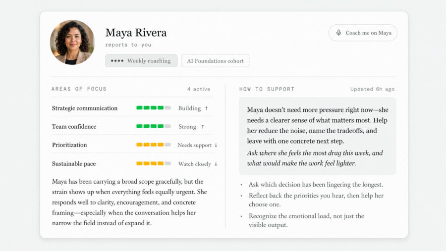 A representative, example summary of insights from the AI coaching conversations presented to the manager.