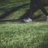 Shallow focus photography of a person walking on a path between grass.