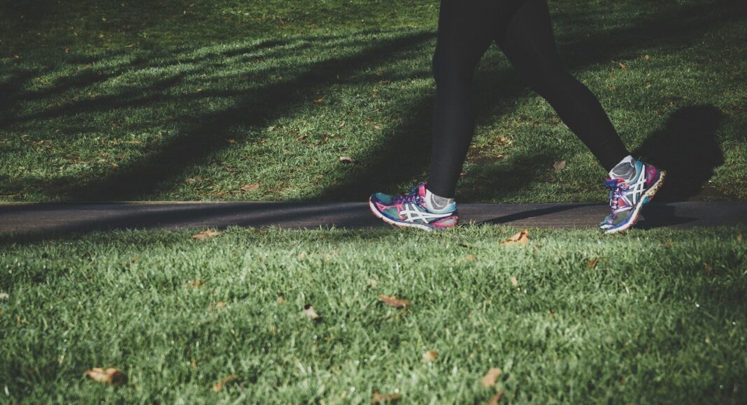 Shot of a person's legs while walking in a park.