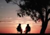 Over a third of workers fear they may never retire Silhouette of two people sitting on chairs near a tree at sunset.