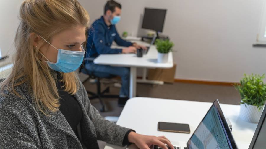 Two people wearing masks sit at separate desks in an office, diligently following isolation rules while working on their laptops. A smartphone and a potted plant adorn the desk in the foreground.