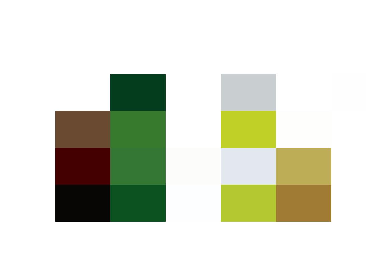 A collection of beer bottles on a white background.