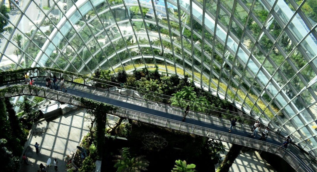 The interior of a glass-walled office building with trees growing inside.