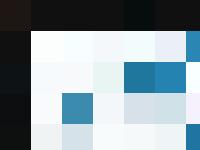 A group of personnel in a network.