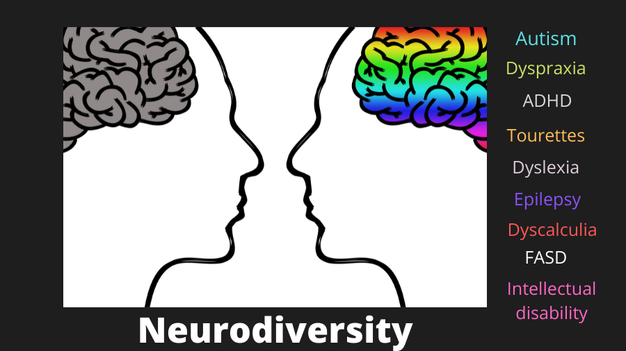 Two profiles with brain illustrations facing each other; one brain is gray, the other multicolored. Text on the right lists: Autism, Dyspraxia, ADHD, Tourettes, Dyslexia, Epilepsy, Dyscalculia, FASD, Intellectual Disability. 