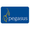 pegasussoftware pegasussoftware