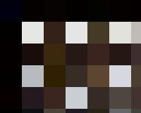 A group of white pigeons sitting in a wooden box, under the careful supervision of human resources personnel.