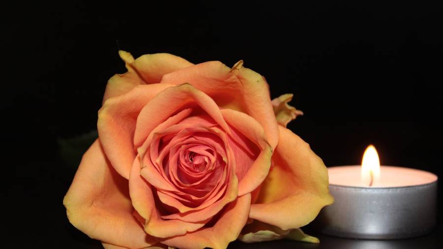 Calls for the Government to introduce two week statutory paid bereavement leave
