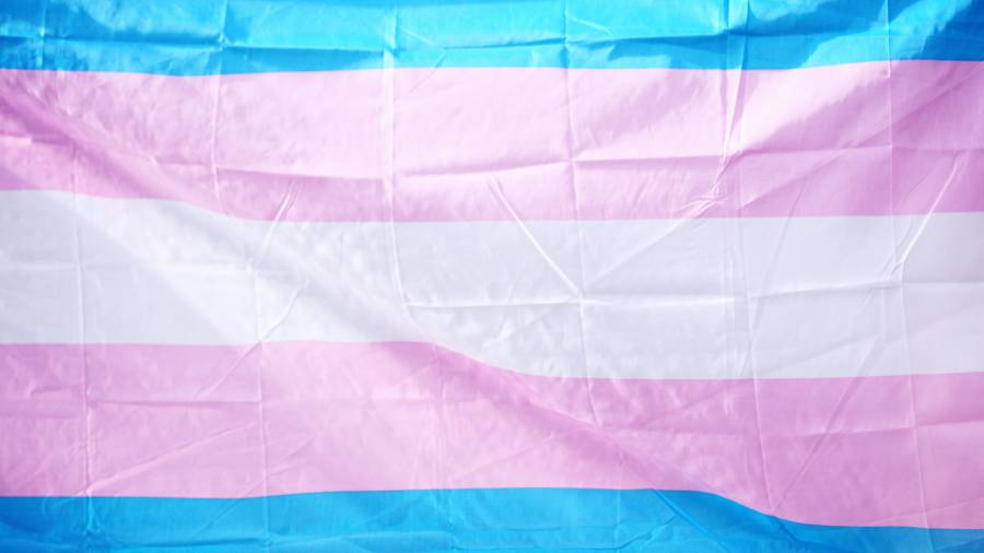 A crumpled flag with horizontal blue, pink, white, pink, and blue stripes representing the transgender pride flag often symbolizes the inclusive spirit essential in HR and People Management.