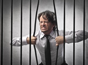 shutterstock_108355274