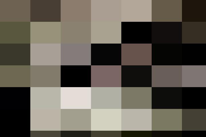 An ex-military personnel in the woods with a rifle.