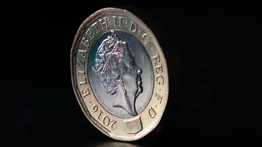 A close-up of a 2016 British one-pound coin featuring the profile of Queen Elizabeth II on a dark background, showcasing the precision akin to meticulous people management.
