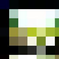 An empty classroom with wooden desks and windows, suitable for Human Resources training.